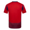 Original Fußballtrikot Costa Rica Heimtrikot 2024 Für Herren